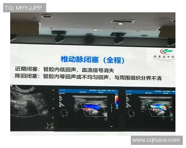 布尔格与索肖的对决分析及双方近期状态评估