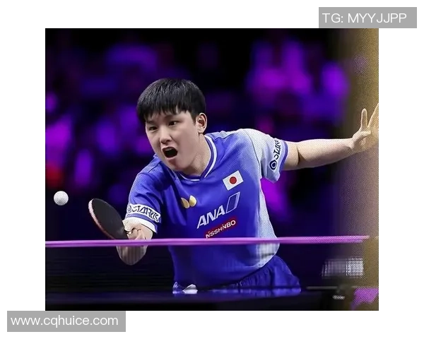 张本智和与波尔精彩对决全程录像回放分析与精彩瞬间集锦